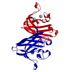 Image of CATH 2c9u
