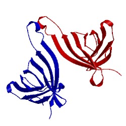 Image of CATH 2cam