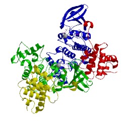 Image of CATH 2cci