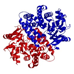 Image of CATH 2cd8