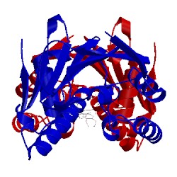 Image of CATH 2cdd