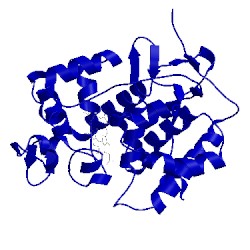 Image of CATH 2cep