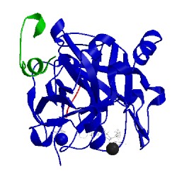 Image of CATH 2cf8