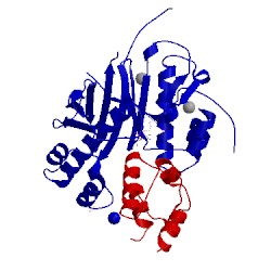 Image of CATH 2cg5