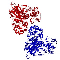 Image of CATH 2cgk