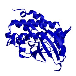 Image of CATH 2cgu