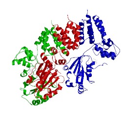 Image of CATH 2chq