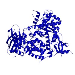 Image of CATH 2chw