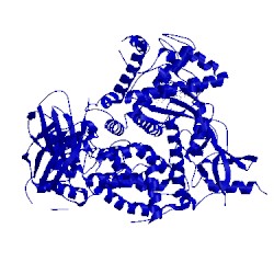 Image of CATH 2chx