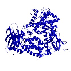 Image of CATH 2chz