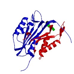 Image of CATH 2cjx