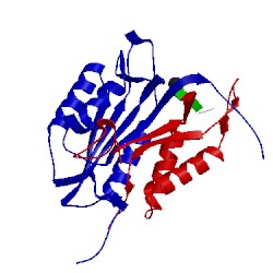 Image of CATH 2cjy