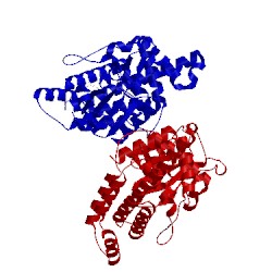 Image of CATH 2cko