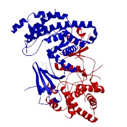 Image of CATH 2ckp