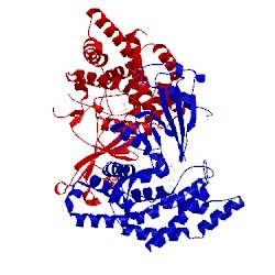 Image of CATH 2ckq