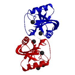 Image of CATH 2cl8