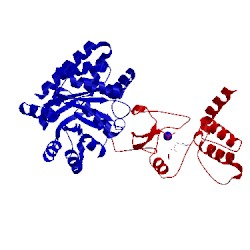 Image of CATH 2cle