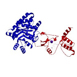 Image of CATH 2clf