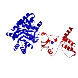 Image of CATH 2cli