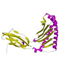 Image of CATH 2clvA