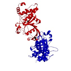 Image of CATH 2cm3