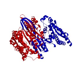 Image of CATH 2cmj