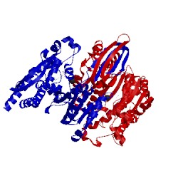 Image of CATH 2cmv