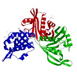 Image of CATH 2cnm