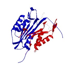 Image of CATH 2cno