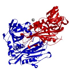 Image of CATH 2coi