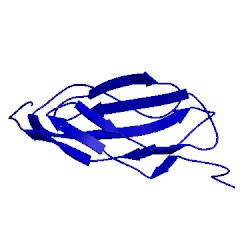 Image of CATH 2cum