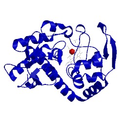 Image of CATH 2cyp