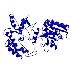 Image of CATH 2d21