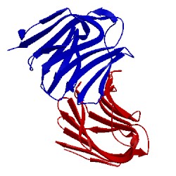 Image of CATH 2d6k