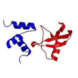 Image of CATH 2den