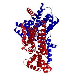 Image of CATH 2dh4