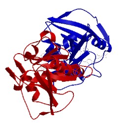 Image of CATH 2dhf