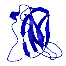 Image of CATH 2dne
