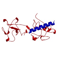 Image of CATH 2doh