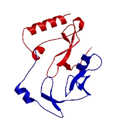 Image of CATH 2dsr
