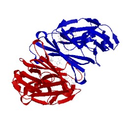 Image of CATH 2dts
