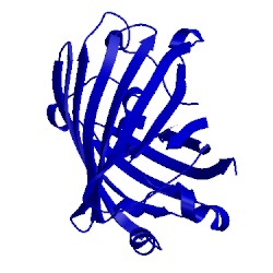 Image of CATH 2due
