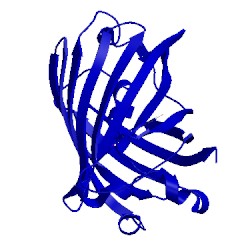 Image of CATH 2dug