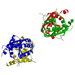 Image of CATH 2dum