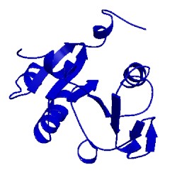 Image of CATH 2duw