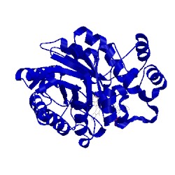 Image of CATH 2duz