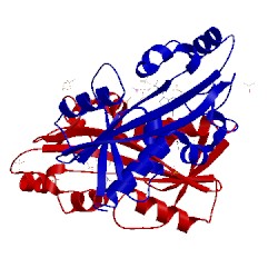 Image of CATH 2dvn