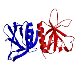 Image of CATH 2dyn