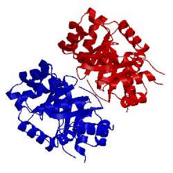 Image of CATH 2dzs