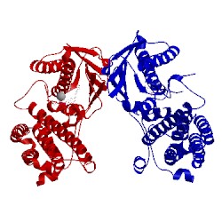 Image of CATH 2e0a